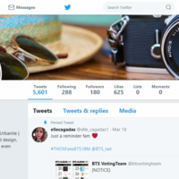Social Media Management - Twitter