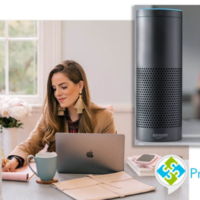 Prologica - Virtual Office Assistant