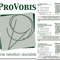ProVobis logo and dual language business card designs