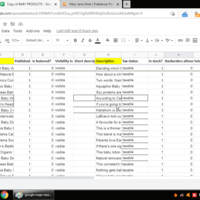 google sheets-copyste
