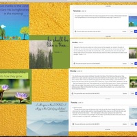 Social Media Management