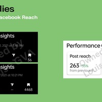 Instagram and Facebook Reach