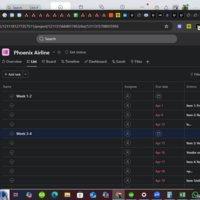 Project management on asana