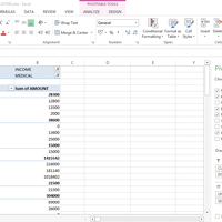 Microsof excel sing PivotTable