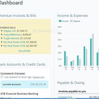 Wave Accounting Dashboard