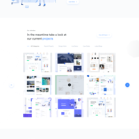 Agency Website