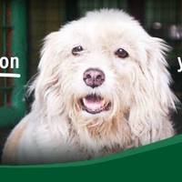 Facebook Cover Photo