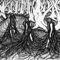 Hand drawn ink fantasy illustration