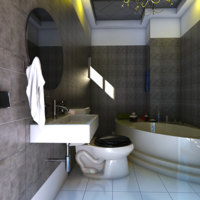 Luxurious Master's Toilet/Bath