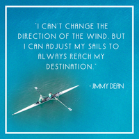 Portfolio Thumbnail 37