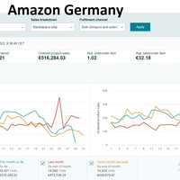 Amazon Germany 30 Days Sales Performance