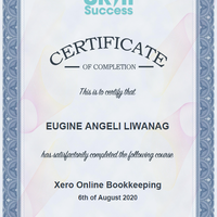 Skill Success Online Xero Training