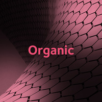 Portfolio Thumbnail 2