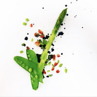 Portfolio Thumbnail 1