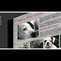 Fly-out navigation using jQuery - BSL website