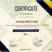 Institutional award for my Final Year Project..