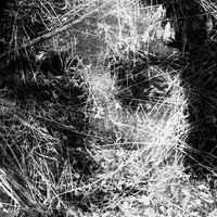 Grassdrowning 2