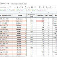 sample Excel work