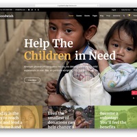 Non Profit Website