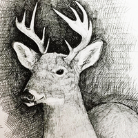 Portfolio Thumbnail 5
