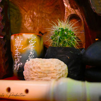 Cover photsos