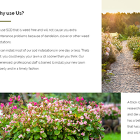 SOD Calgary - Web Design and Development