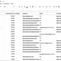 Market Research Data Entry