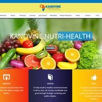 Kanovine Consultancy Africa Website