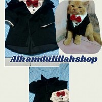 Portfolio Thumbnail 0