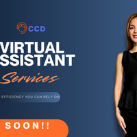 Canva Graphic Design 