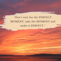 Portfolio Thumbnail 1