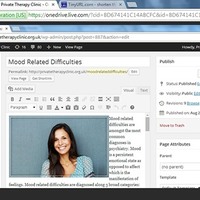 Blogging - many clients