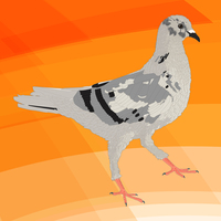 School mascot.