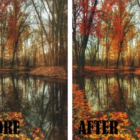 Portfolio Thumbnail 2