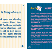 GumStyx - ActionScript controlled Presentations