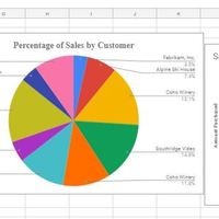 Percentage of sales by Customers using google sheet