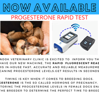 Veterinary Clinic  Service Ad