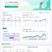 Website Audit for an E-commerce Brand 