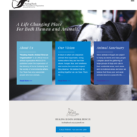 HealingHands ebsite
