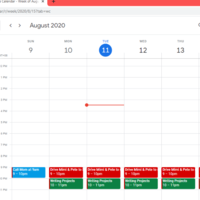 MANEMENT SCHEDULE