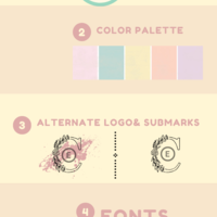 My brand palette.