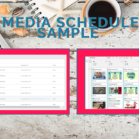 Social Media Scheduled and Posting Sample