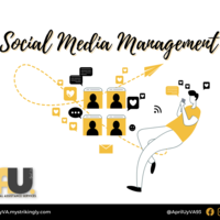 Social Media Management