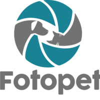 Portfolio Thumbnail 24