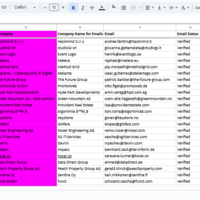 Lead Generation – CEOs Primary Email