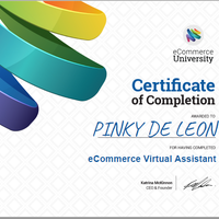 eCommerce VA Certificate