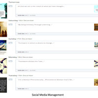 Sample Social Media Management