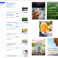 Social Media Management
