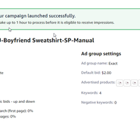 SP-Manual PPC Campaign I Created and Launched