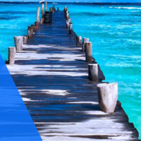 Using Canva